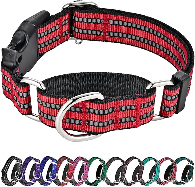 Hikiko Martingale Dog Collars Reflective Nylon Dog Collar by Hikiko