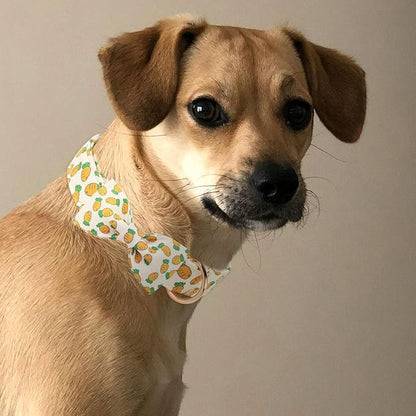 Easter Dog Collar with Bowtie, Cute Carrot Easter Dog Collar with Metal Buckle - Image 5