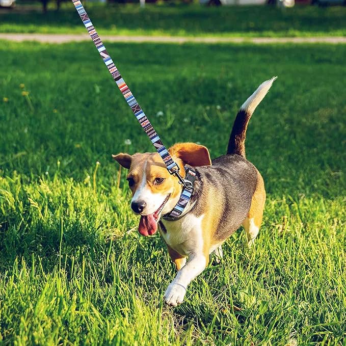Roses&Poetry Dog Collar with Colourful Stripe Patterns, Adjustable Durable - Image 8