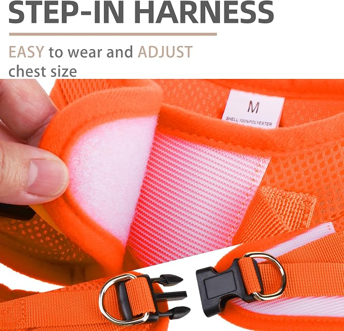 PUPTECK Adjustable Dog Harness Collar and Leash Set Step in No Pull Pet Harness - Image 3