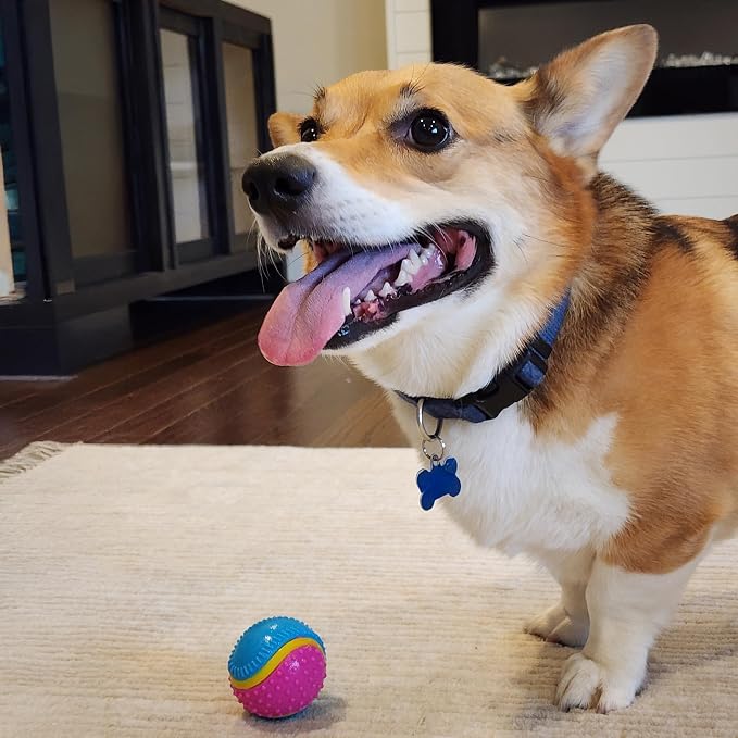SPOT Sensory Ball for Soft Chewers - Image 10