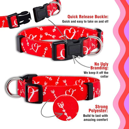 Native Pup Valentine’s Dog Collar- Valentines Day Pet Collars- Valentine Girly - Image 4