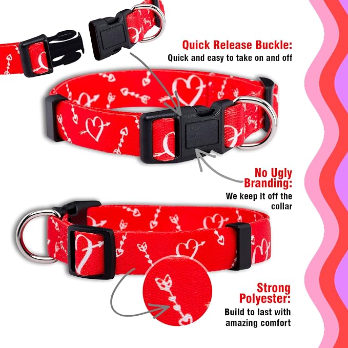 Native Pup Valentine’s Dog Collar- Valentines Day Pet Collars- Valentine Girly - Image 4