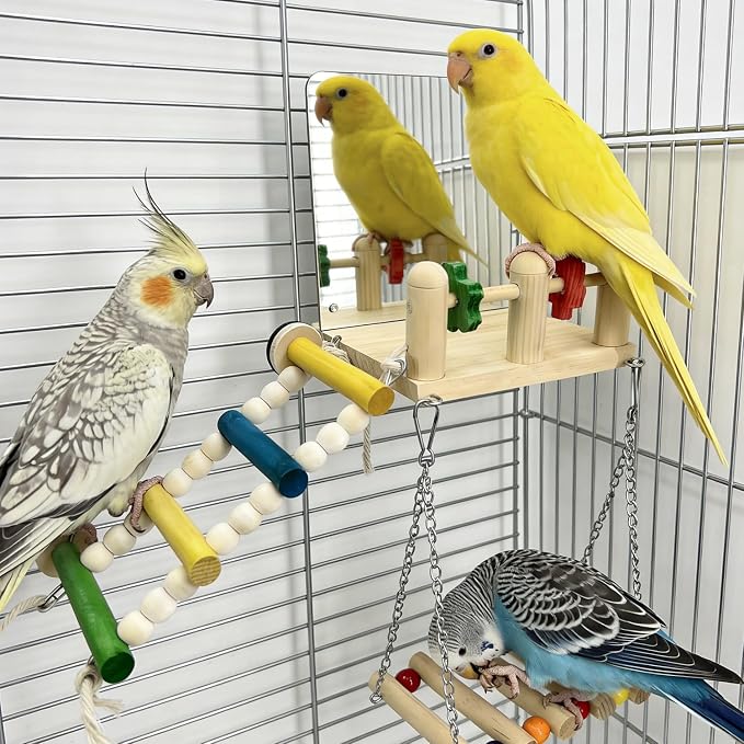 Bird Toys & Wooden Play Gym - Image 5