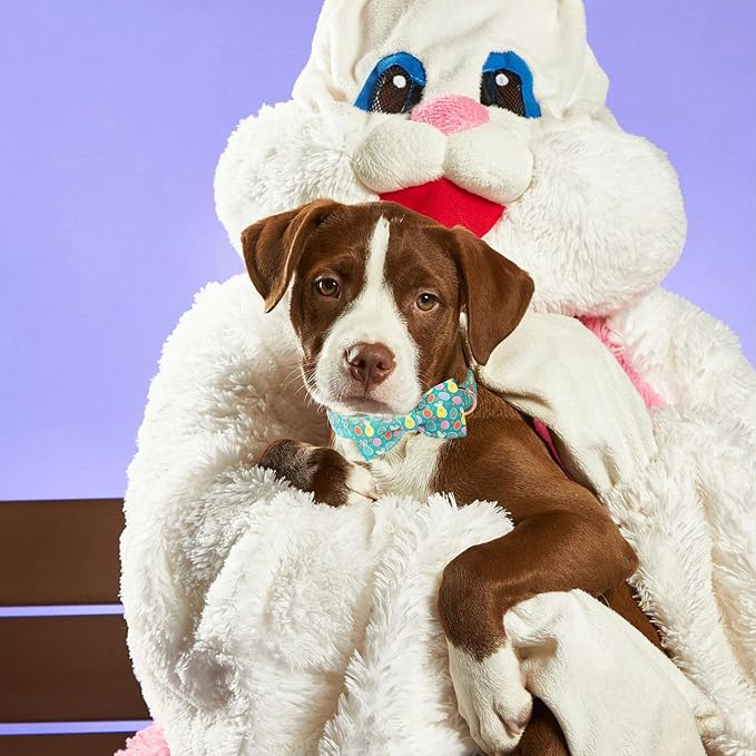 Easter Dog Collar with Bowtie, Eater Bunny Eggs Dog Collars, Soft Durable - Image 5