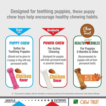Nylabone Puppy Chew Toys & Natural Treat Triple Pack, Puppy Enrichment Teething - Image 8