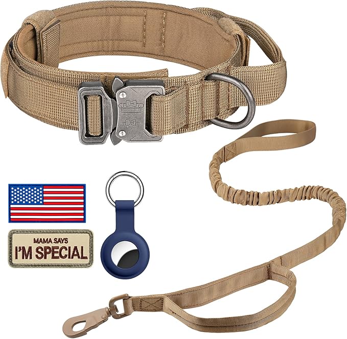 DAGANXI Tactical Dog Collar, Adjustable Military Training Nylon Dog Collar by DAGANXI