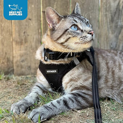 Best Pet Supplies Voyager Step-in Air Harness - Image 9