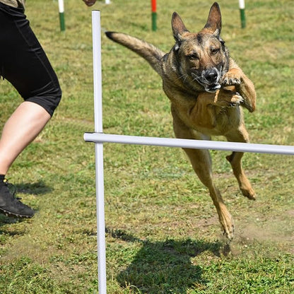 Shappy 4 Pieces Dog Agility Equipment - Image 5