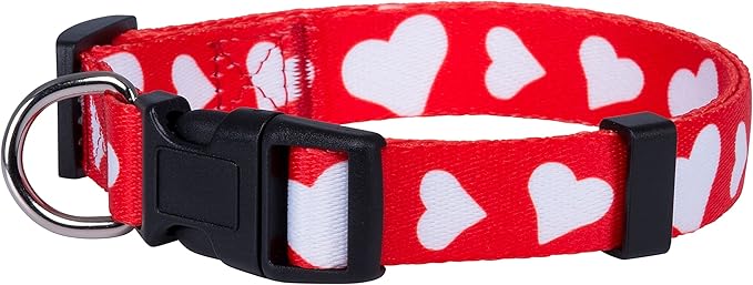Native Pup Valentine’s Dog Collar- Valentines Day Pet Collars- Valentine Girly by NativePup