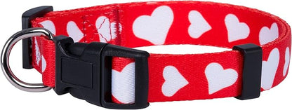 Native Pup Valentine’s Dog Collar- Valentines Day Pet Collars- Valentine Girly by NativePup