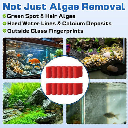 12-Pack Aquarium Glass Cleaner Sponges 3.25" x 3.25" x 1", Non-Scratch Scrubber - Image 6