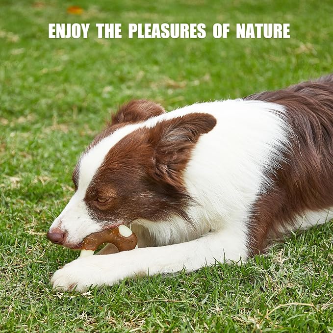 Durable Nylon Dog Bones, 2 Pack Dog Toys - Image 7