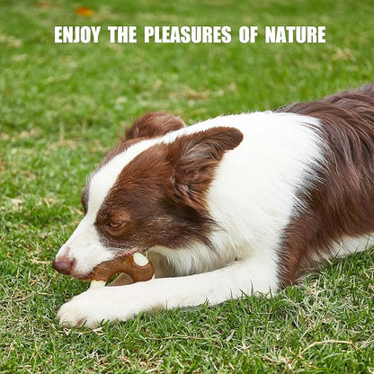 Durable Nylon Dog Bones, 2 Pack Dog Toys - Image 7