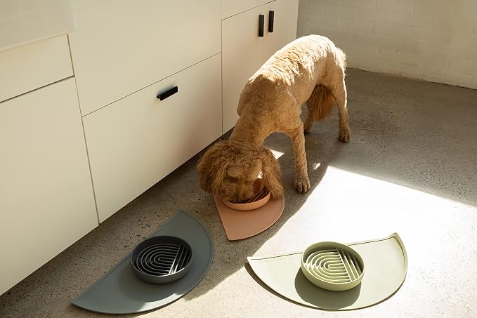 Should We Go - Waterproof Silicone Pet Food Mat - Non-Slip, Spill-Proof Feeding - Image 9