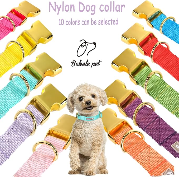 Nylon Dog Collar - Image 7