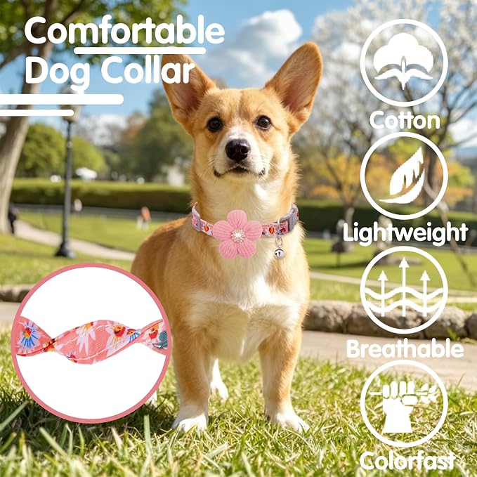 Medium Dog Collar with Flower, Dog Collars - Image 4