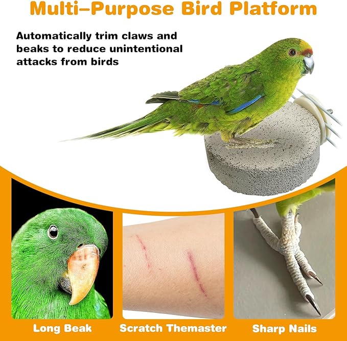 PINVNBY 4 PCS Bird Perches Calcium Parrot Perch Stand Bird Beak Grinding Stone - Image 5
