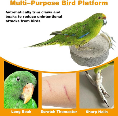 PINVNBY 4 PCS Bird Perches Calcium Parrot Perch Stand Bird Beak Grinding Stone - Image 5