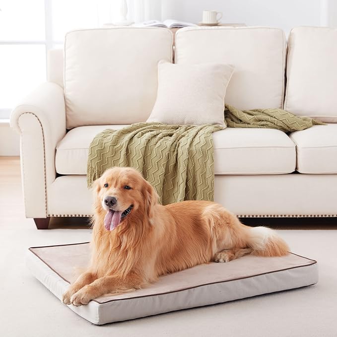 Orthopedic Memory Foam Dog Bed, Cooling Dog Beds - Image 2