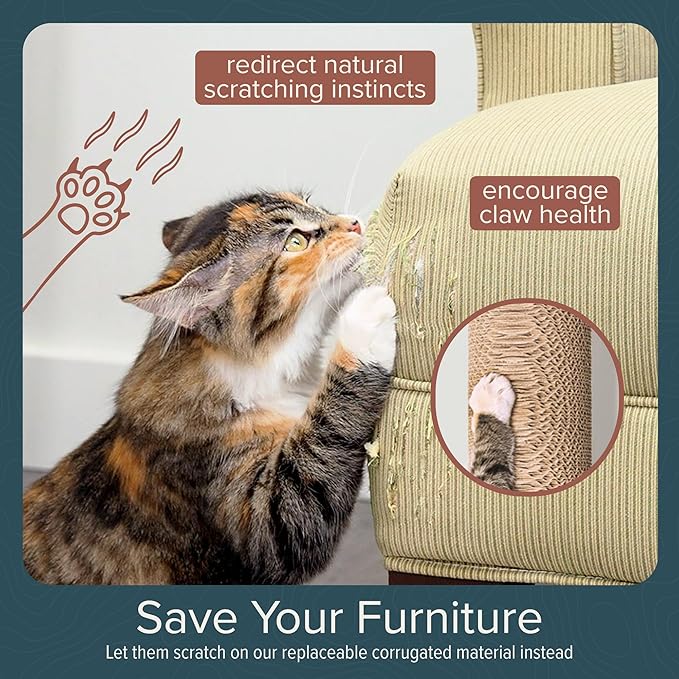 Cat Climbing Wall System – Modern Floating Shelves & Perches - Image 9