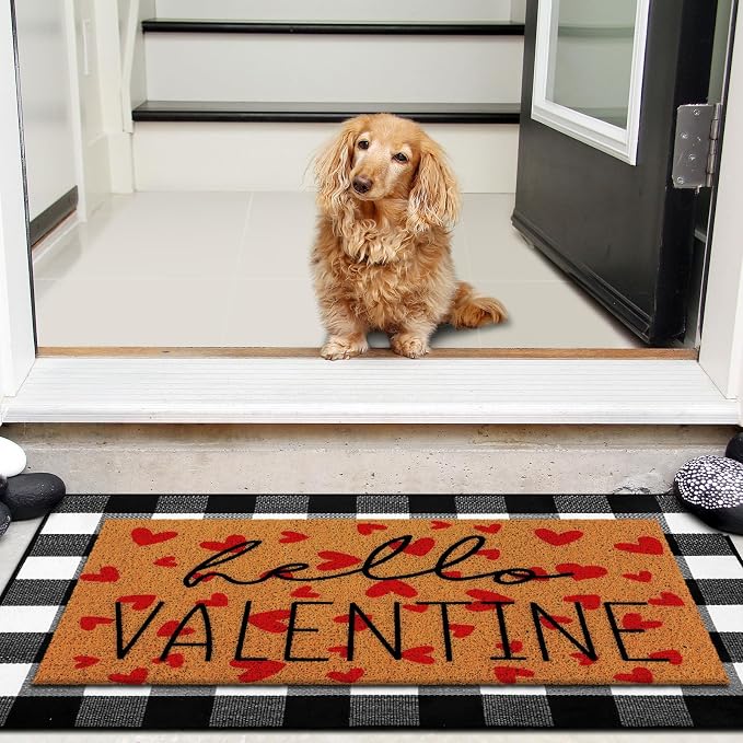 Tinideya 2 Pcs Valentine Door Mat Hello February 14th Welcome Non Slip Coir - Image 6