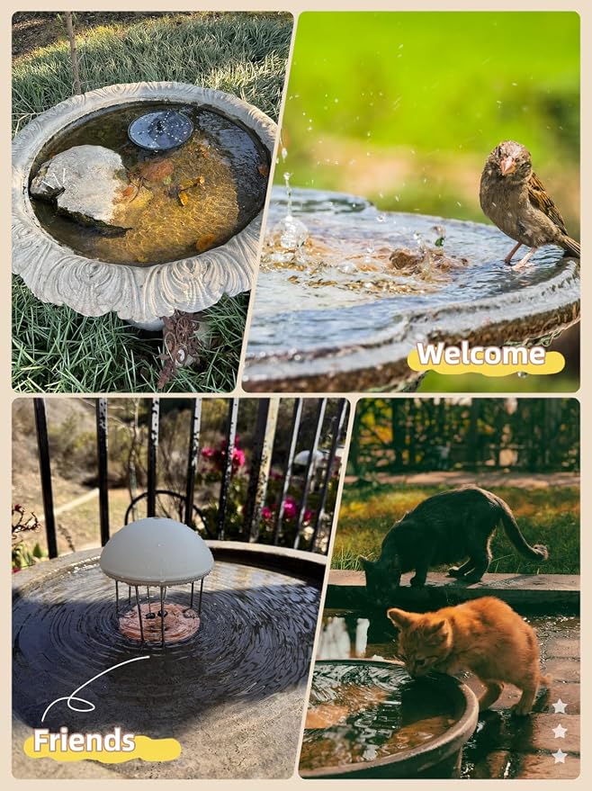 Bird Bath Purification Disk, 99.99% Copper Disc - Image 5
