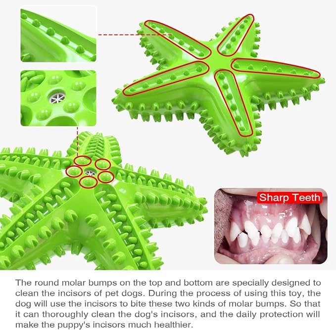 Chew Toy for Dog Toothbrush Stick Dog Toys for Aggressive Chewers Interactive - Image 8