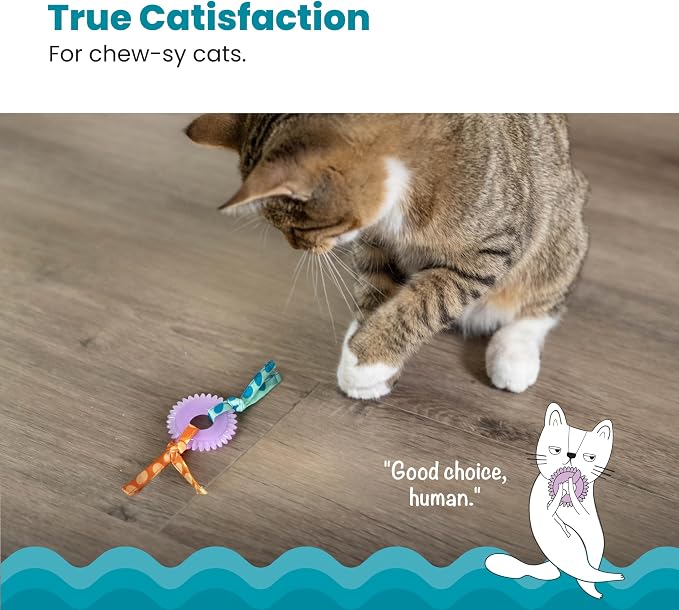 Catstages Kitty Chew Wheel, Dental Cat Toy - Image 2
