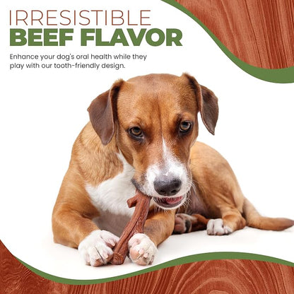 SPOT Bam-Bones Plus Branch -Bamboo Fiber & Nylon, Durable Long Lasting Dog Chew - Image 7