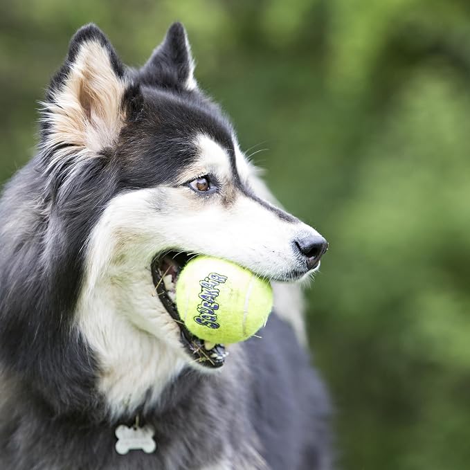 KONG Air Dog SqueakAir Dog Toy Tennis Balls - Image 2