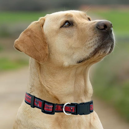 Pets First NFL Tampa Bay Buccaneers Licensed PET COLLAR, Large - Image 5