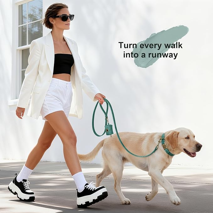 Didog Soft PU Leather Dog Collar, Stylish Quick Released Dog Collar - Image 4
