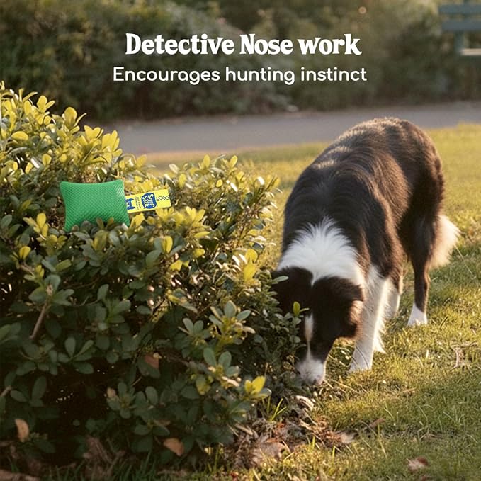 Race&Herd Original Dog Scent Training Kit, Scent Work Training Kit - Image 5