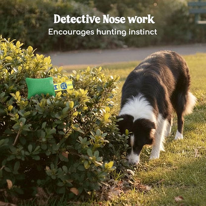 Race&Herd Original Dog Scent Training Kit, Scent Work Training Kit - Image 5