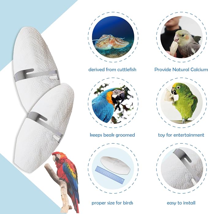 Jmxu's 5"-5.5" Bird Cuttlebone for Parakeets, Cuddle Bone - Image 4