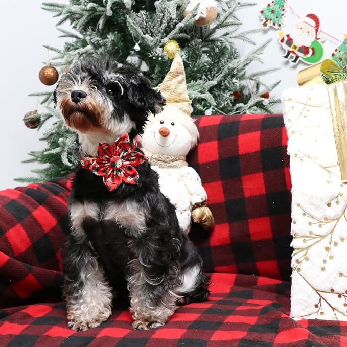 Christmas Dog Collar with Flower, Christmas Flower Collar - Image 5