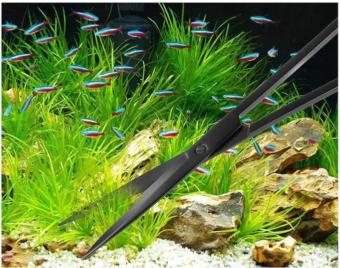 A2Z-Aquascaping Maintenance Tools Accessories, Anti-Rust Stainless Steel - Image 3