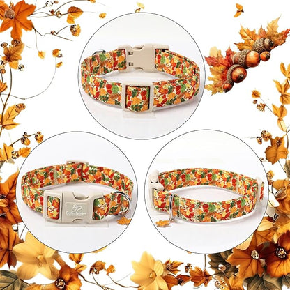 Fall Dog Collar Cute Autumn Leaves Puppy Collar - Image 6