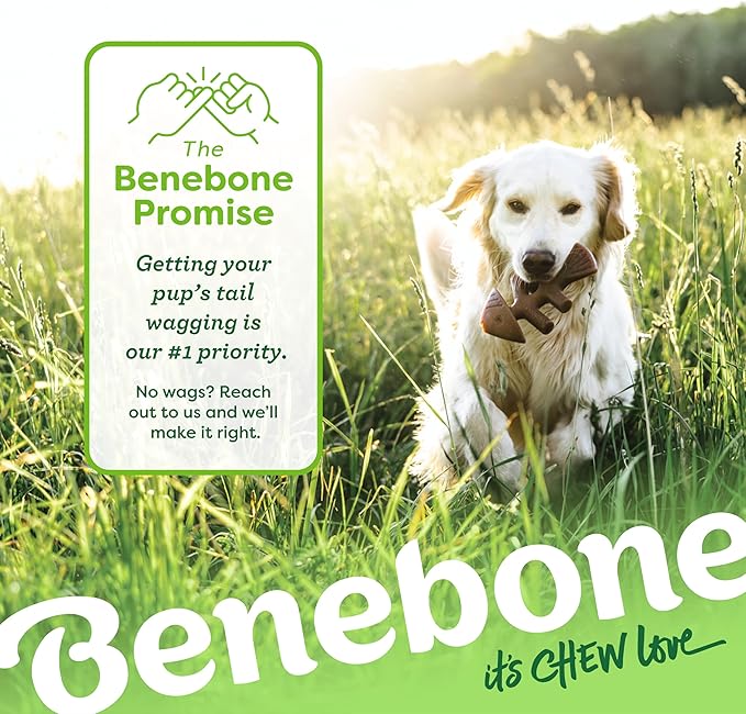 Benebone Fishbone Durable Dog Chew Toy - Image 6