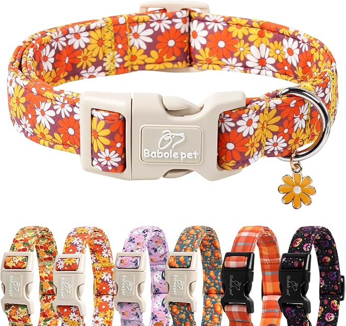 Fall Dog Collar Vintage Daisy Puppy Collar by Babolepet