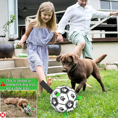 Amasiver Dog Soccer Ball Toys - Image 6