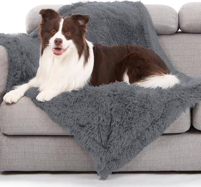 gogobunny Waterproof Dog Blanket by gogobunny