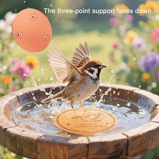 3Pack Bird Bath Copper Purification Disk | 0.6mm Reinforced 99.9% Pure Copper | - Image 3