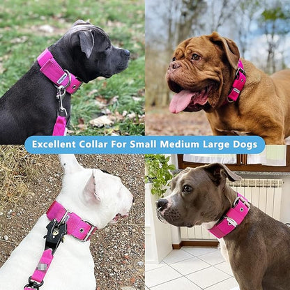 Heavy Duty Tactical Dog Collar - Image 2