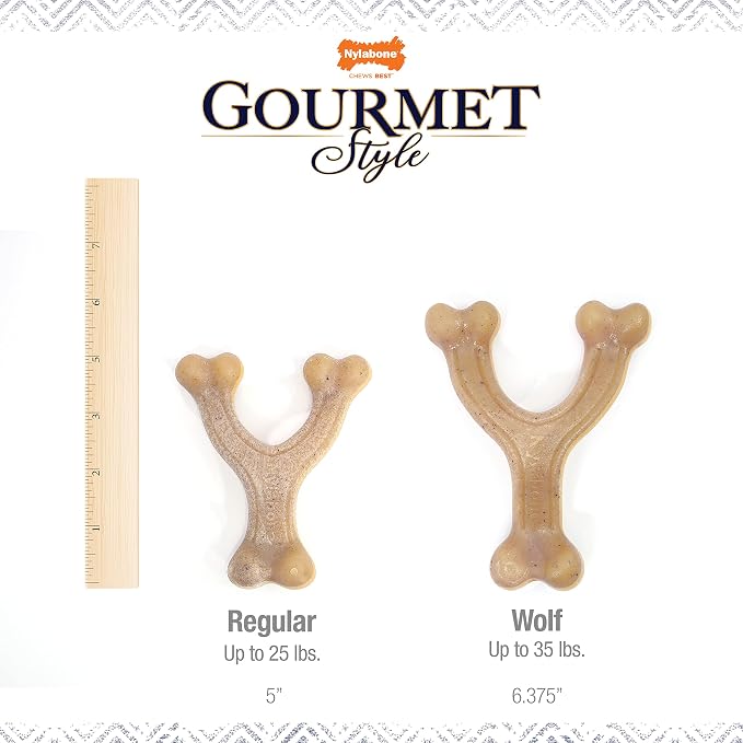 Nylabone Gourmet Style Wishbone Strong Chew Toy - Image 4