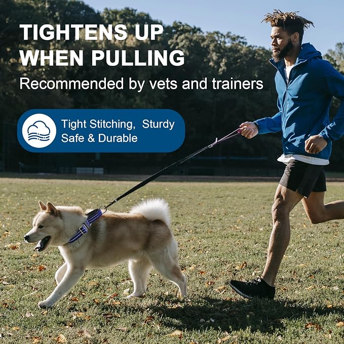 Martingale Dog Collar, Adjustable Nylon Reflective Collar - Image 5
