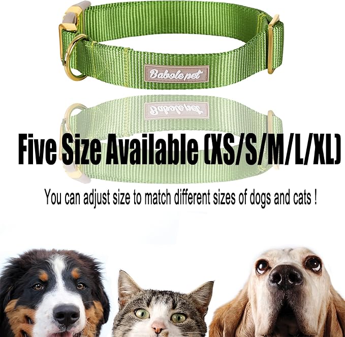 Nylon Dog Collar - Image 8