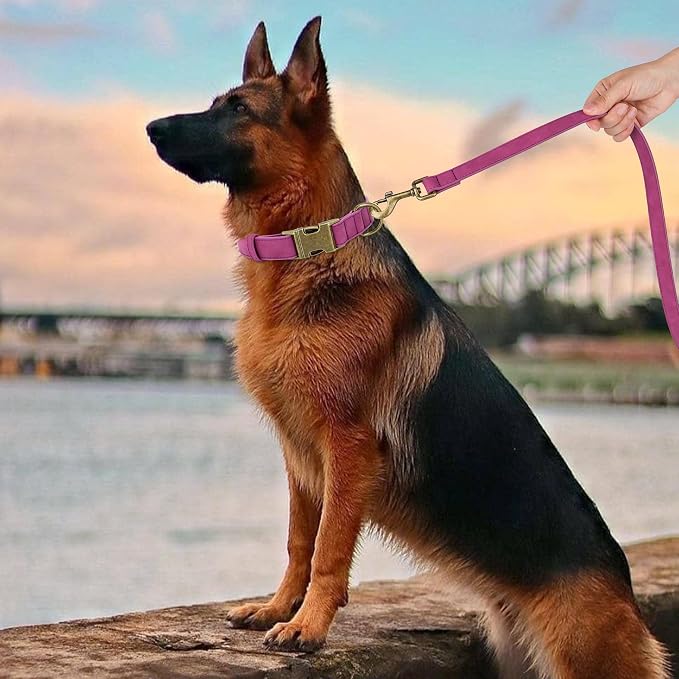 Didog Soft PU Leather Dog Collar, Stylish Quick Released Dog Collar - Image 3