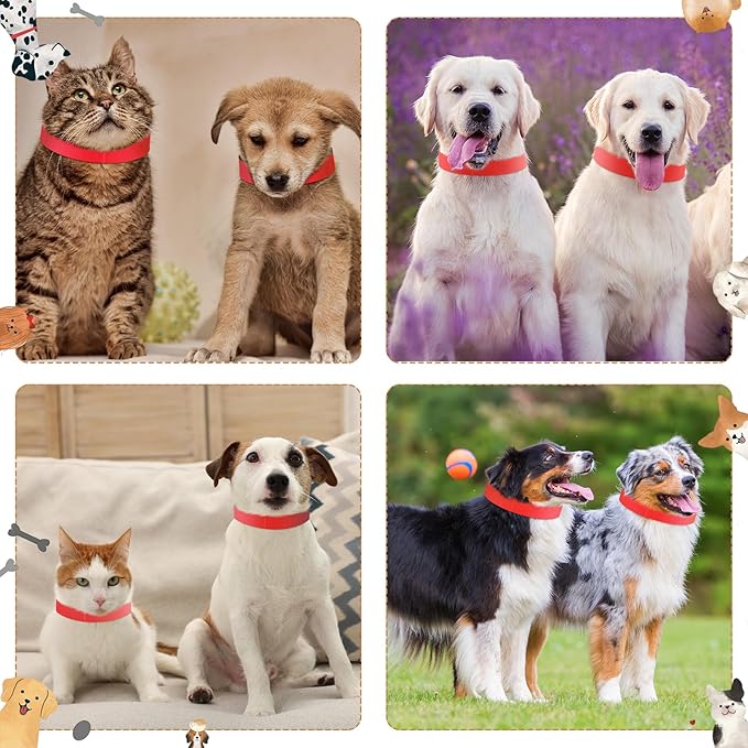 500 Count 20inch Adjustable Paper Dog Collars - Image 6